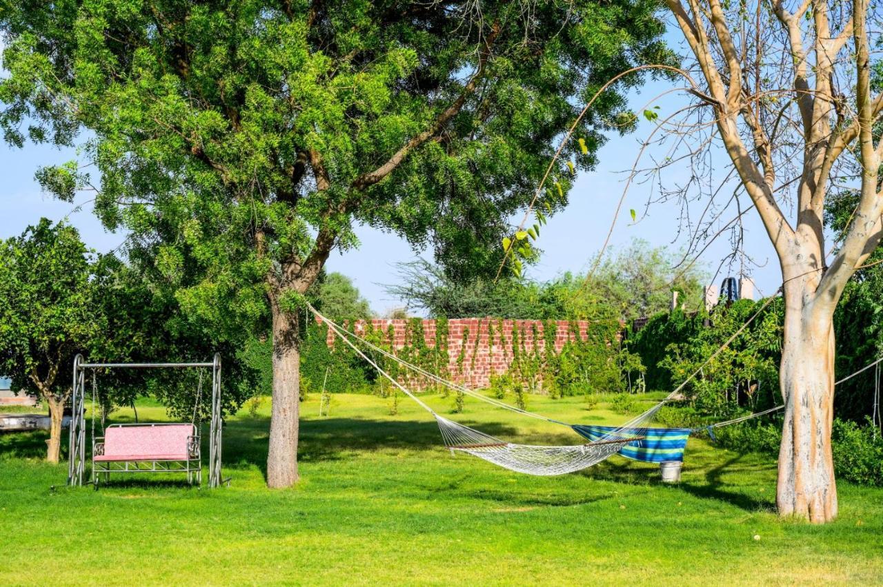 Holiday Farm Jodhpur Джодпур Екстериор снимка